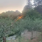 La Casa Delle Ciliegie *