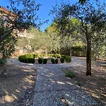 Ferienhaus La Casa Delle Ciliegie Assisi