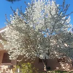 La Casa Delle Ciliegie בית נופש *