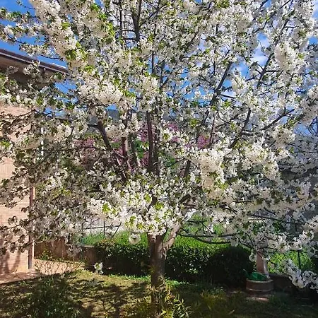 La Casa Delle Ciliegie 別荘