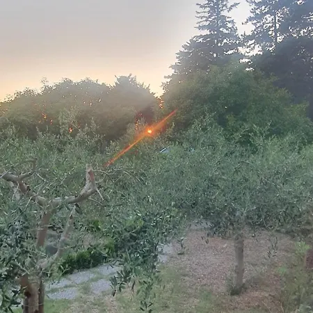 La Casa Delle Ciliegie *