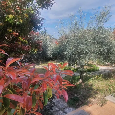 La Casa Delle Ciliegie Assisi