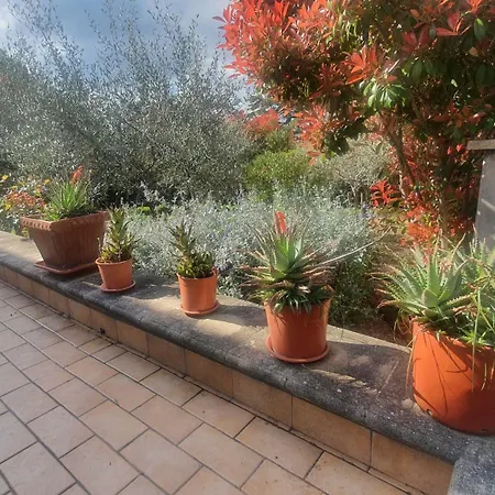 La Casa Delle Ciliegie *