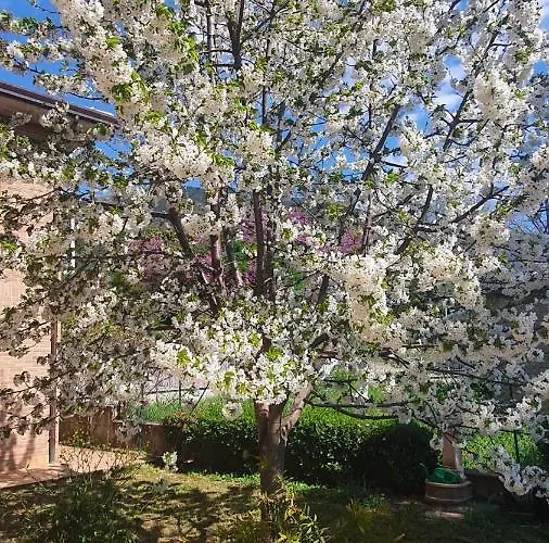 La Casa Delle Ciliegie Vakantiehuis
