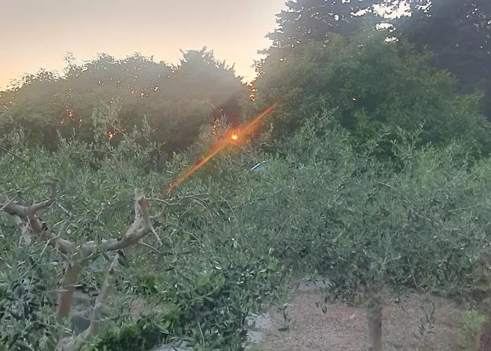 La Casa Delle Ciliegie *