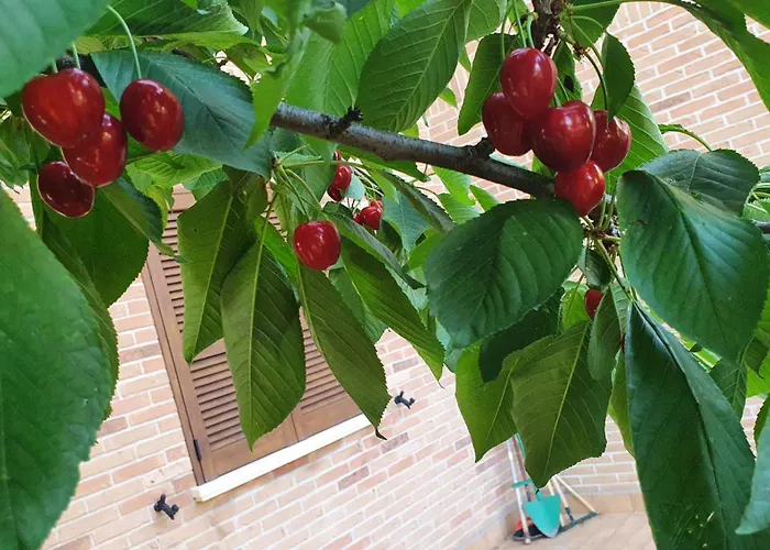 Vakantiehuis La Casa Delle Ciliegie Assisi