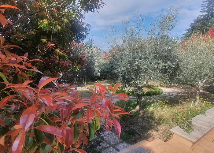 La Casa Delle Ciliegie Assisi