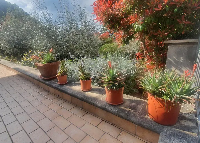 La Casa Delle Ciliegie *